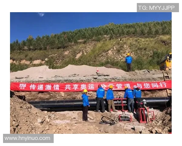 体育实时数据西安网球队团队协作创新之路探讨与热议